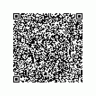 vCard 73913737329