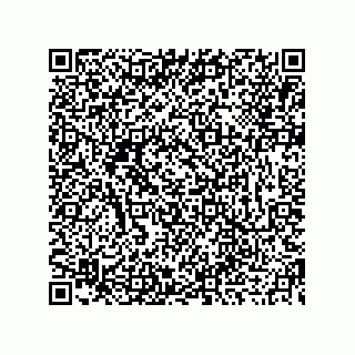 vCard 73913833411