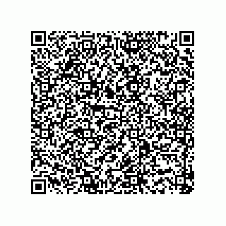 vCard 73915331053