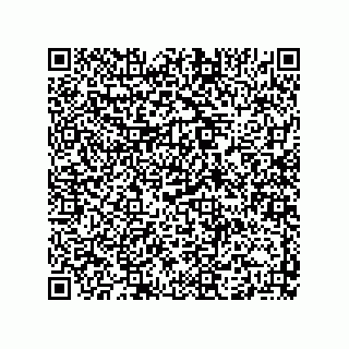 vCard 73915331061