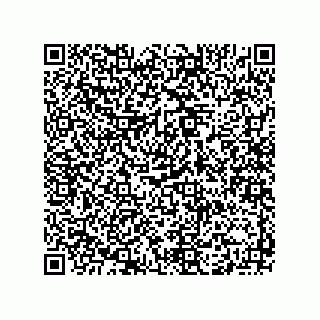 vCard 73915331084