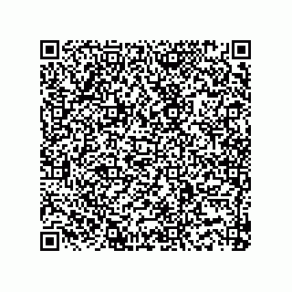 vCard 73915331110
