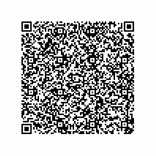 vCard 73915331257