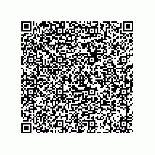 vCard 73915331272