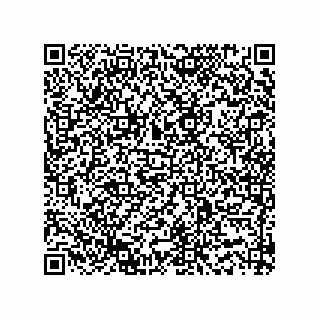 vCard 73915331289