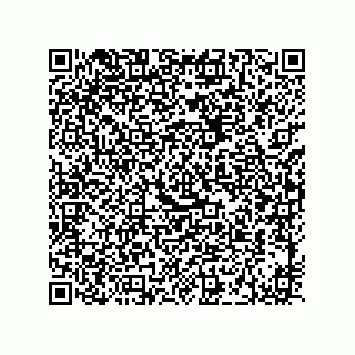 vCard 73915331301