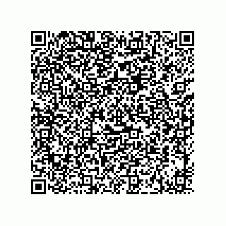 vCard 73915331329