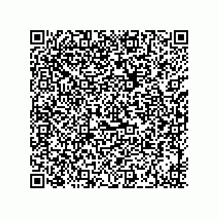vCard 73915331370