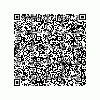 vCard 73915332339