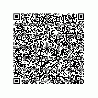 vCard 73915570208