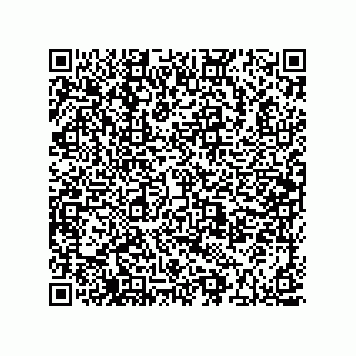 vCard 73915729310