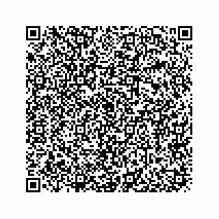 vCard 73916020033