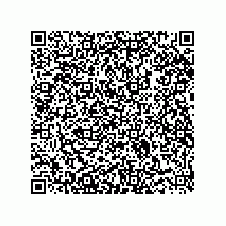 vCard 73916130331