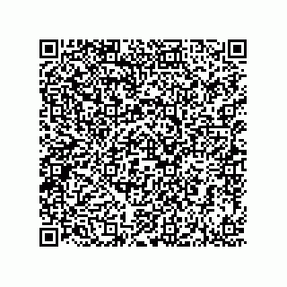 vCard 73916133003