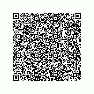 vCard 73916133100