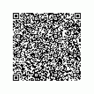 vCard 73916133103