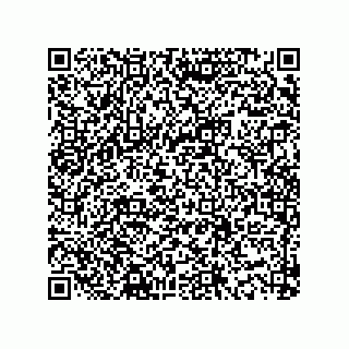 vCard 73916173133