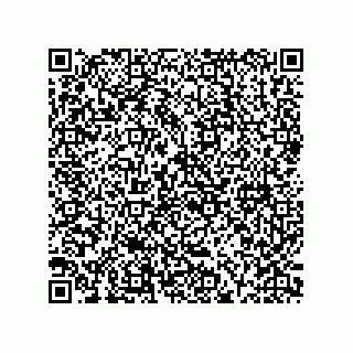 vCard 73916173137