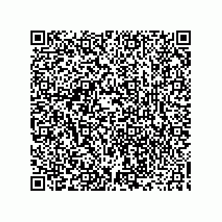 vCard 73916173138
