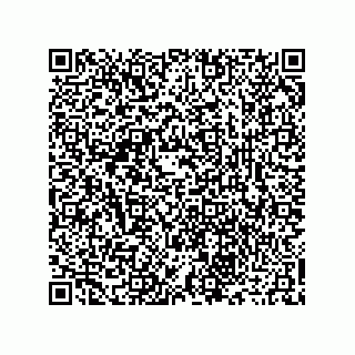 vCard 73916173204