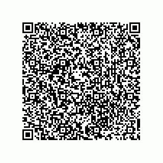 vCard 73916173209