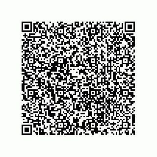 vCard 73916173211