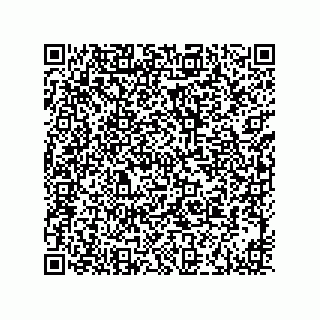 vCard 73916173213