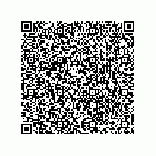 vCard 73916173251