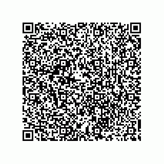 vCard 73916173269