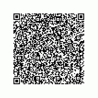 vCard 73916173295