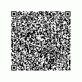 vCard 73916173297