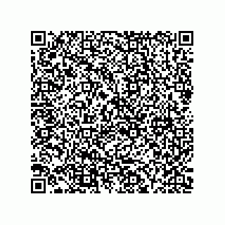 vCard 73916173304