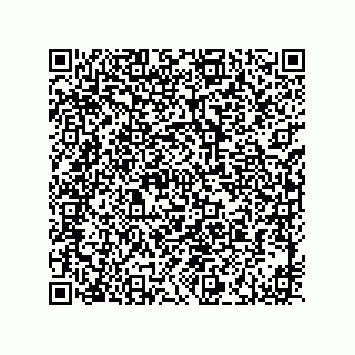 vCard 73916173305