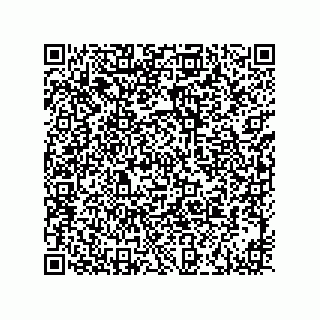 vCard 73916173309