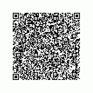 vCard 73916173311