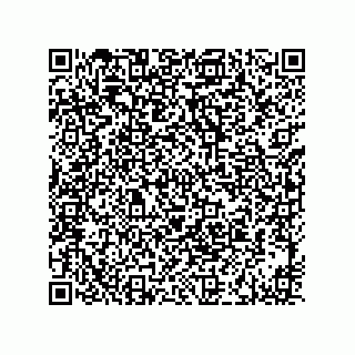 vCard 73916173313