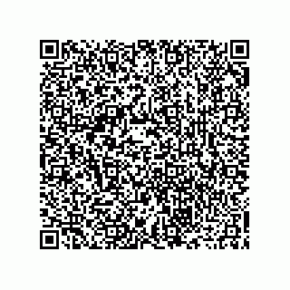 vCard 73916173315