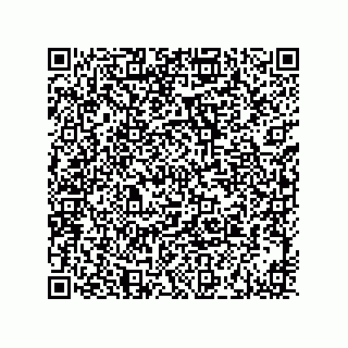 vCard 73916173317