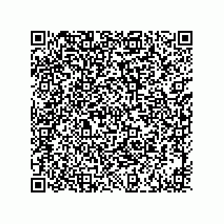 vCard 73916173318