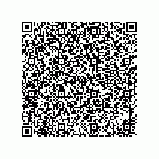 vCard 73916173319