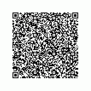 vCard 73916173320