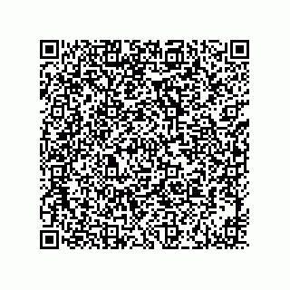 vCard 73916173329