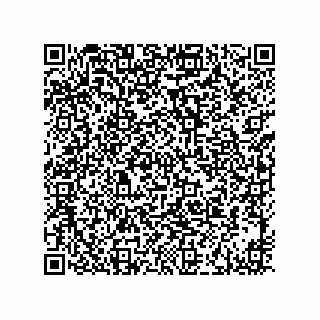 vCard 73916173343