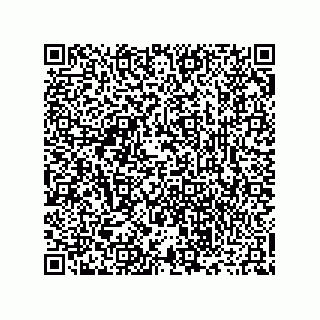 vCard 73916173349