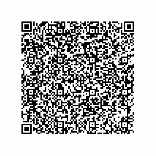 vCard 73916173353