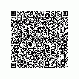 vCard 73916173381