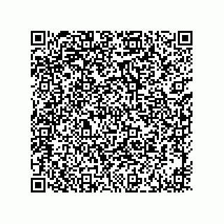 vCard 73916173387