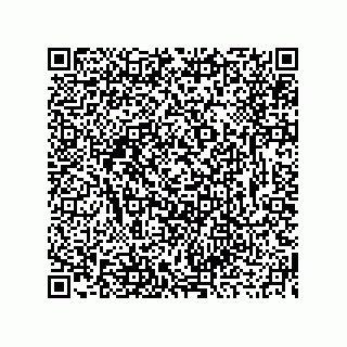 vCard 73916239163