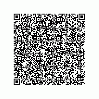 vCard 73916565313