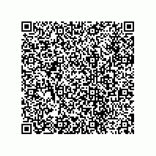 vCard 73916565385